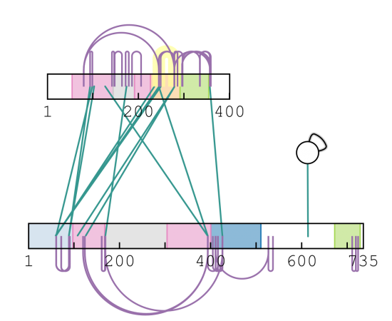 Data visualisation