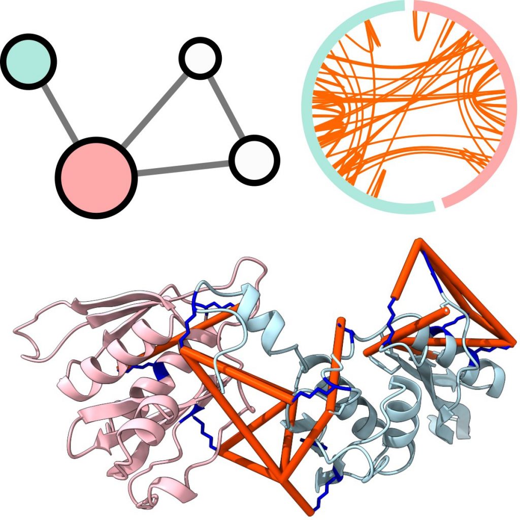 Leveraging crosslinking mass spectrometry in structural and cell